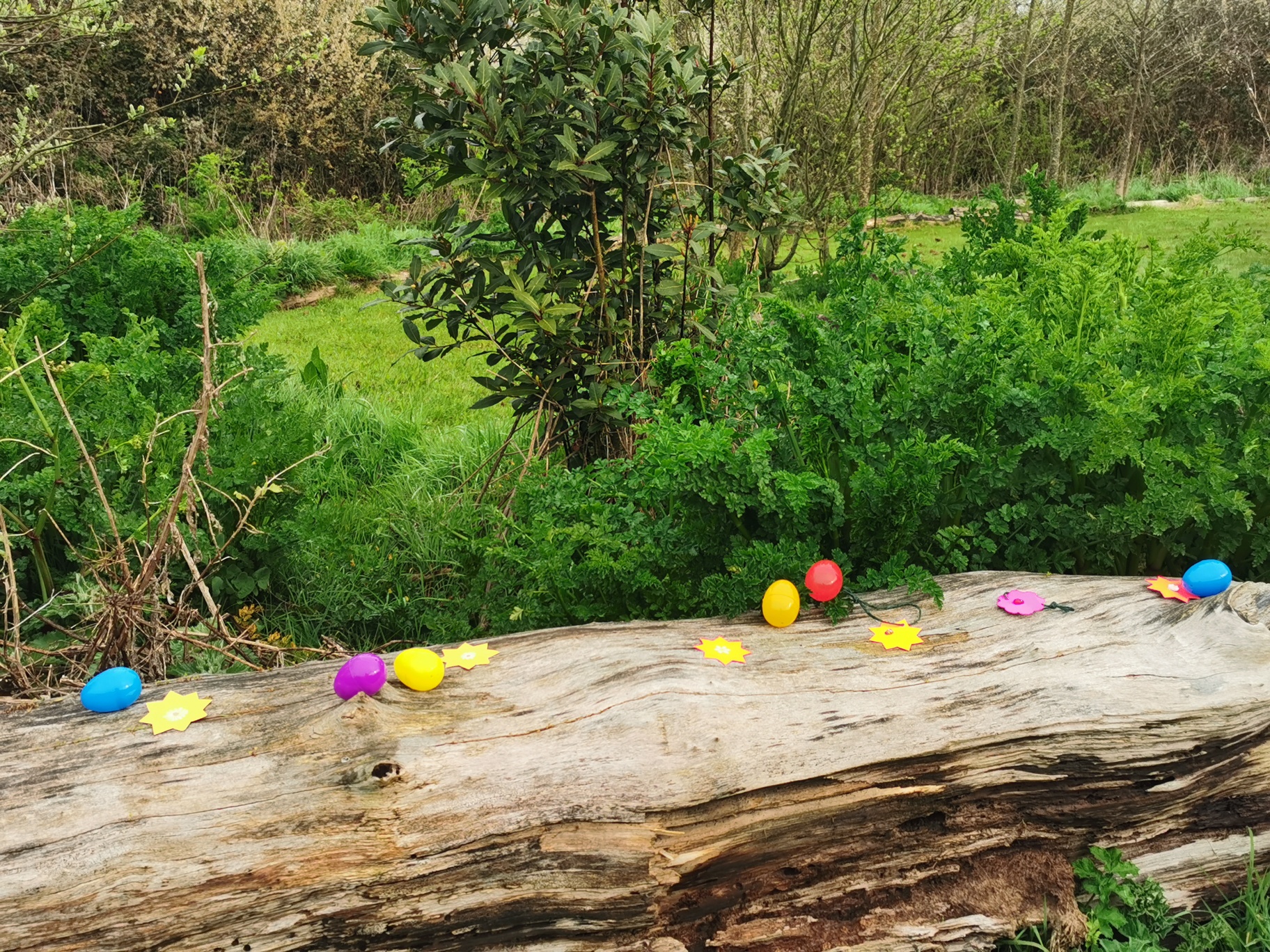 Reusable plastic egg hunt at KGV